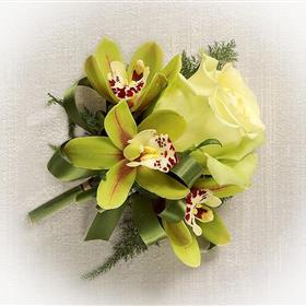fwthumbCorsage White Rose & Green Orchid.jpg